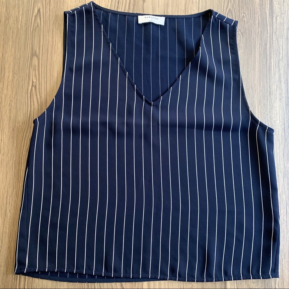 Aritzia Babaton Murphy Blouse Top